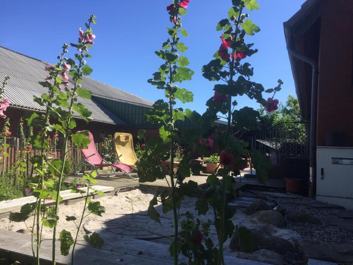 Peanuts Hostel & Meer Surendorf Ngoại thất bức ảnh